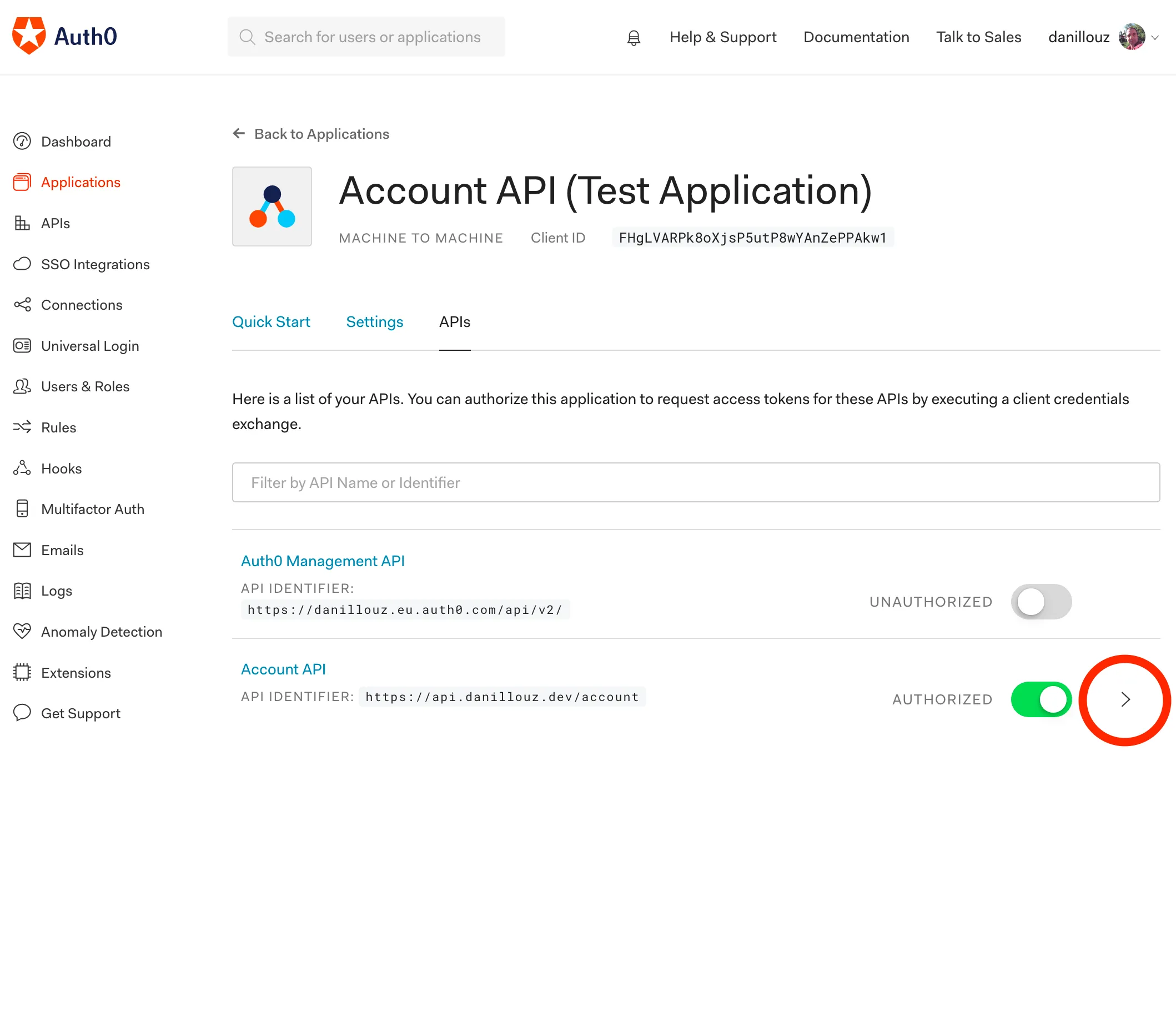 Auth0 test application API access
